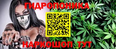 spice Рязань