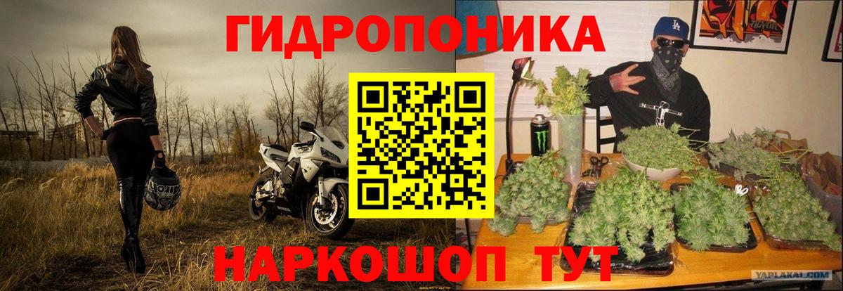 Марихуана Bruce Banner Ногинск